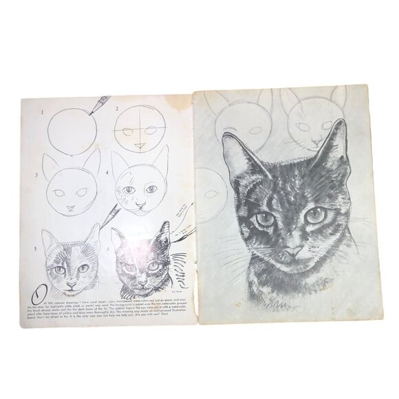 How To Draw Cats By Walter Foster Art Instruction Book Vintage 1950s - Picture 4 of 7